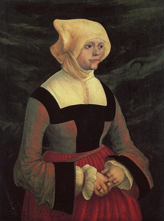 Albrecht Altdorfer Portrait of a Lady Germany oil painting art